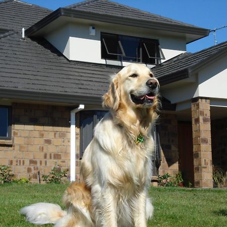 Ohuka Place Homestay Whitianga Exteriér fotografie