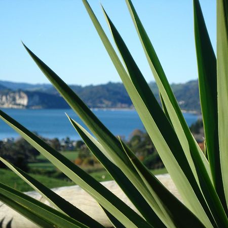 Ohuka Place Homestay Whitianga Exteriér fotografie