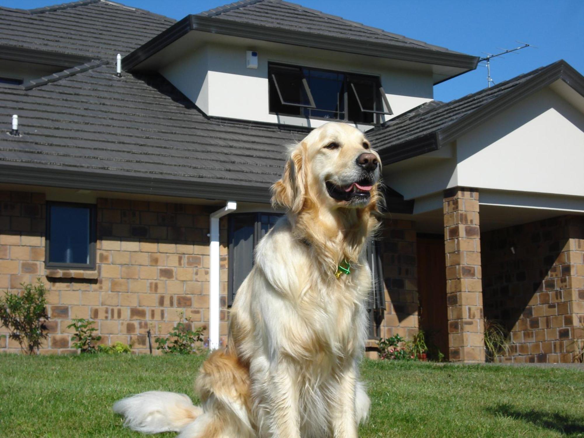 Ohuka Place Homestay Whitianga Exteriér fotografie