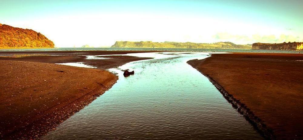 Ohuka Place Homestay Whitianga Exteriér fotografie