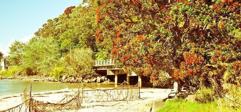 Ohuka Place Homestay Whitianga Exteriér fotografie